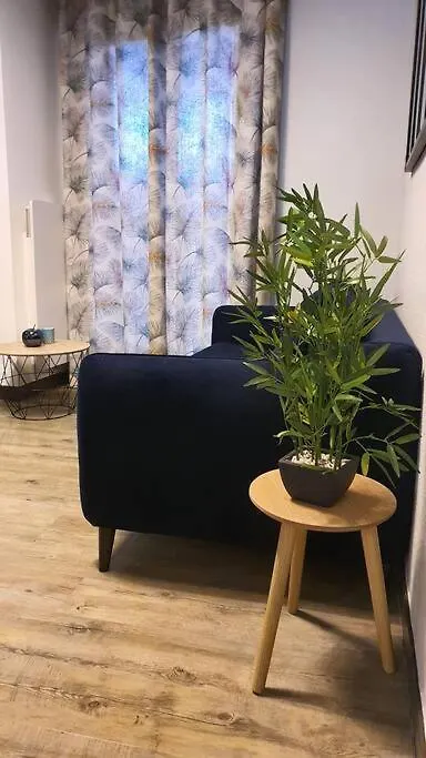 클레르몽페랑 Duplex T2 Neuf Jardin Lecoq 아파트